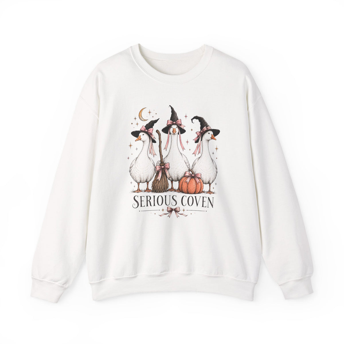 Serious Coven Goose Cute Witch Geese Halloween Crewneck Sweatshirt