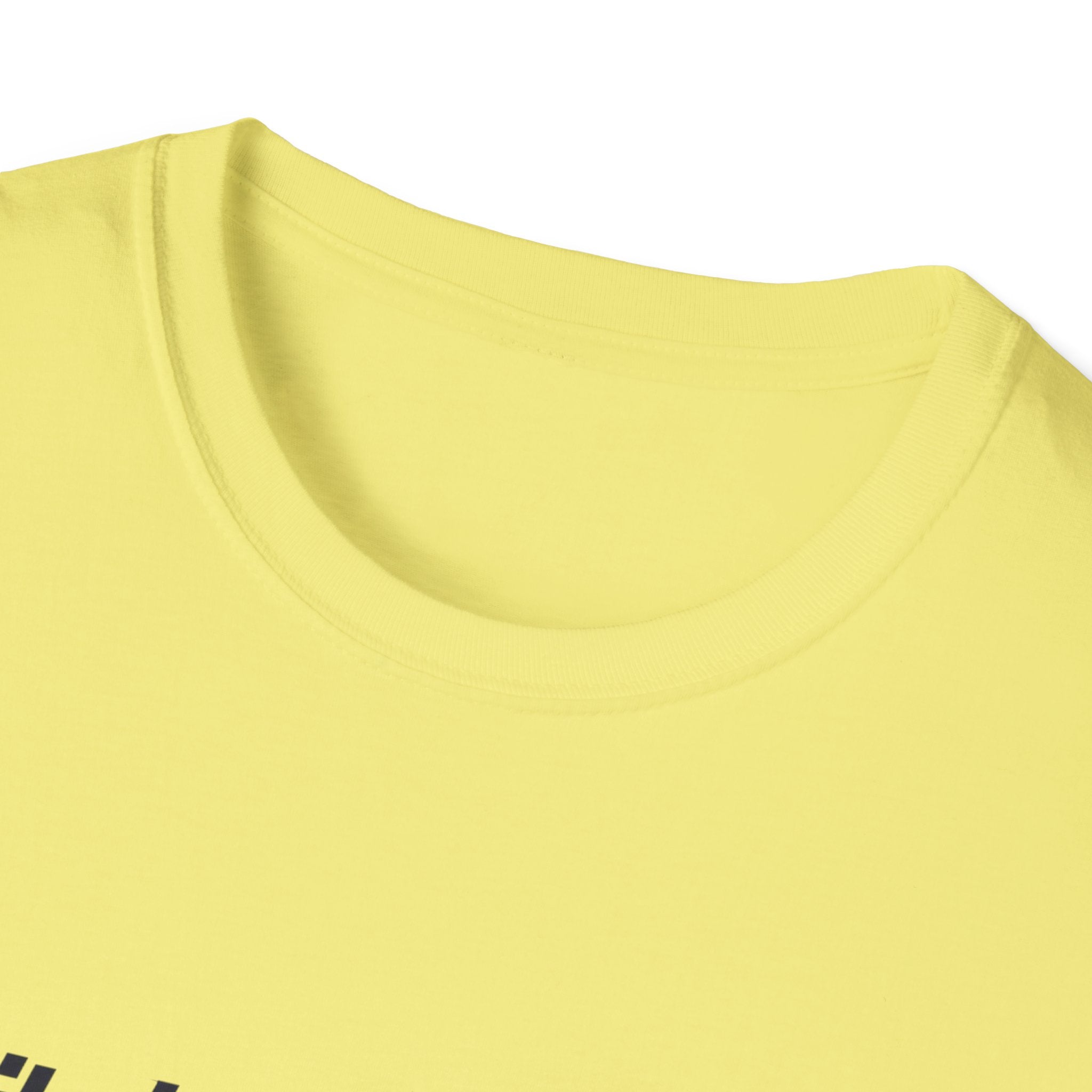 United Stats est 1776 T-Shirt