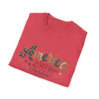 America 250 Years of Freedom Patchwork Shirt, Retro Patriotic Script Tee 1776 2026, 4th of July Vintage Americana T-Shirt, Gingham Stars Scrollwork Anniversary